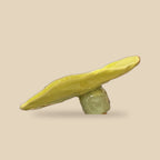 flower lime
