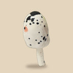 mush whitedot