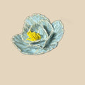 peony