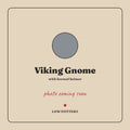 ph viking gnome